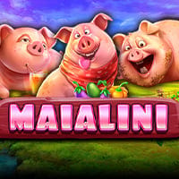 Maialini in BWIN