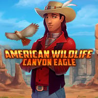 American Wildlife: Canyon Eagle in BWIN