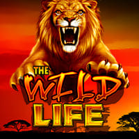 The Wild Life in IGT