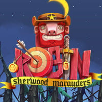 Robin - Sherwood Marauders in it_petersons