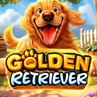 Golden Retriever in Pragmatic