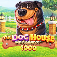 The Dog House Megaways 1000 in APPENAARRIVATE