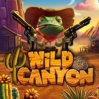 Wild Canyon in Stakelogic