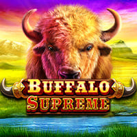 Buffalo Supreme in MORE GAMES