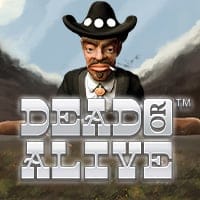Dead or Alive in hotslot