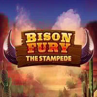 Bison Fury The Stampede