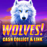 Wolves Cash Collect and Link in TOPPLAYTECH