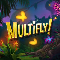 Multifly in APPENAARRIVATE